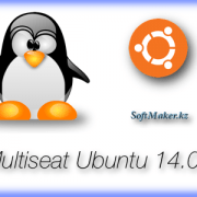 Multiseat mode on Ubuntu 14.04